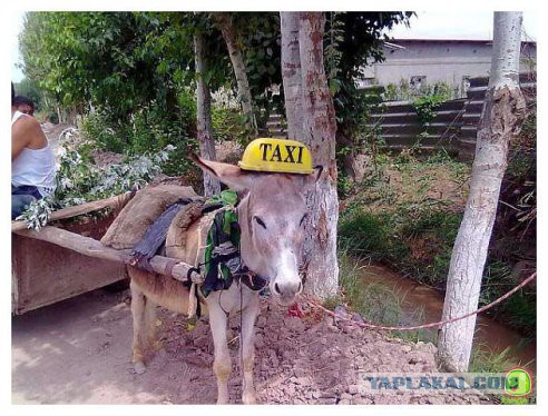 Сирия: 4 вертолёта МИ 24 уничтожают террористов