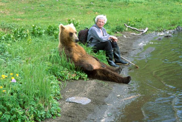 Все о МЕДВЕДЯХ