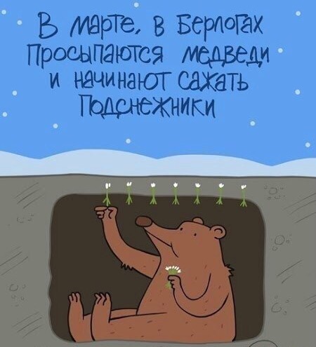 Подборка картинок из сети