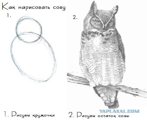 Переделка монитора на светодиодную подсветку