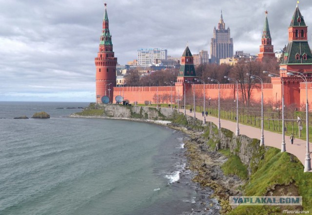 Подборка красивых и веселых картинок