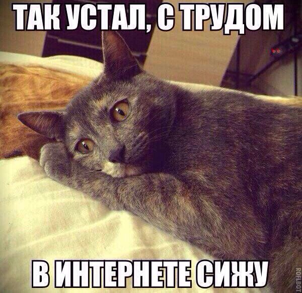 Мохнатые беспредельщики