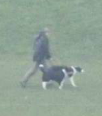 Панорама Лондона или рассмотреть лицо прохожего...