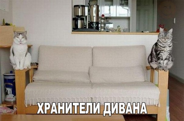 Мохнатые беспредельщики