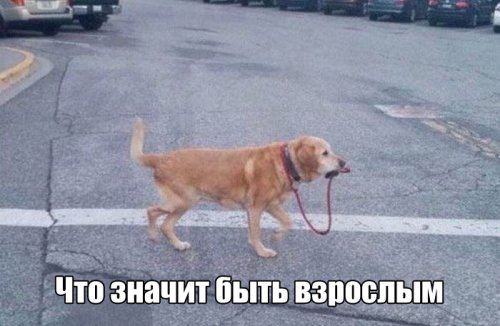 Картинки разные из сети