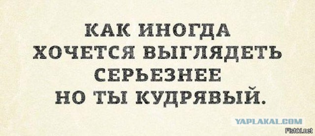 Картинки. 50 шт.