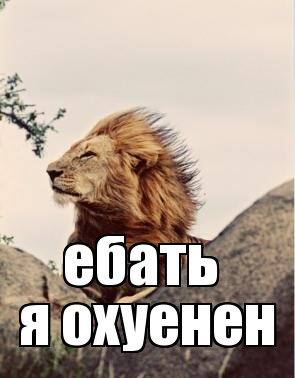 А кто ты по жизни !?)