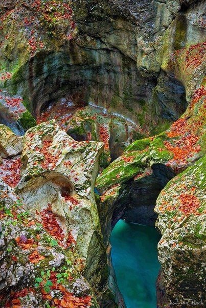Моменты, запечатлённые на фото и просто позитив 5
