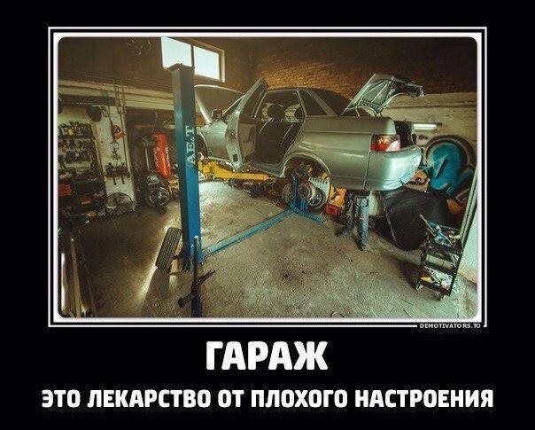 Подборка безудержного веселья