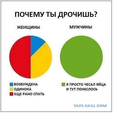 Зачесалось