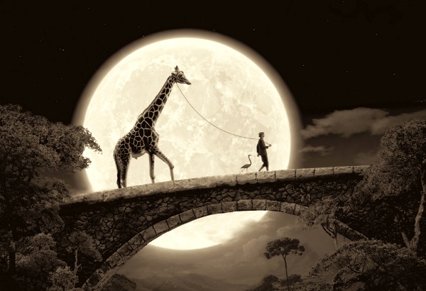 Работы Thomas Herbrich