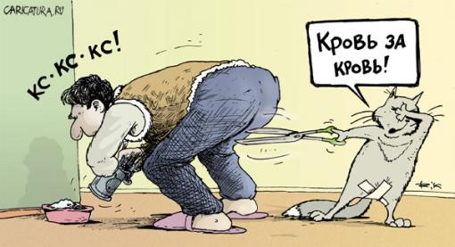 Испугал кота