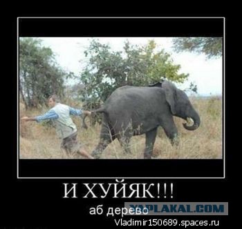 Немного деграданса - 5
