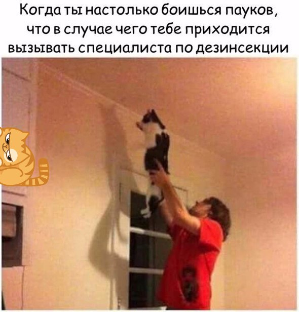 150 картинок для поднятия настроения!