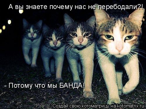 Глубокое внедрение. Из банды выжил только один, но история продолжается...