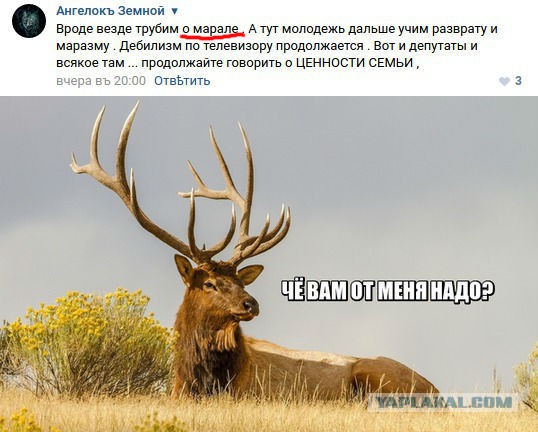 Странный Юмор