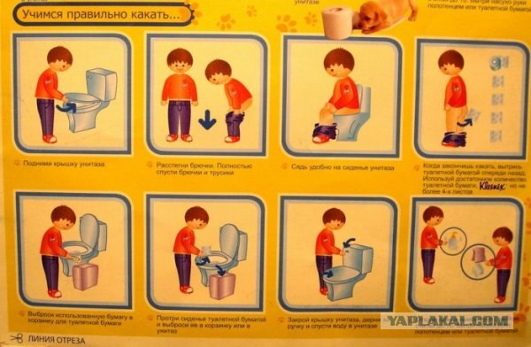 Как какать на природе?