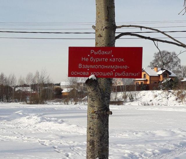 Подборка интересных и веселых картинок