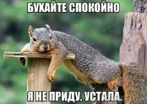Картинки на субботу, кому отдохнуть охота.