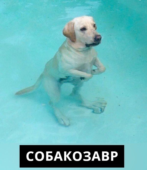 Шатается козырёк