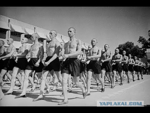 Как мы отдыхали в Сирии