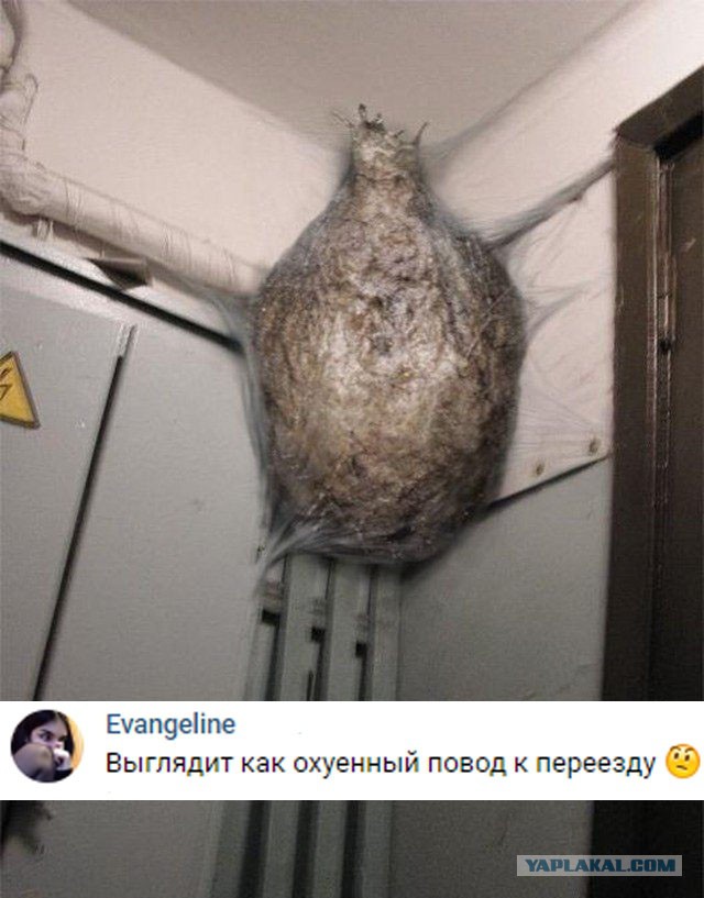 Немного картинок на вечер