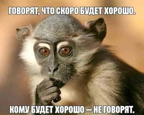 И шо у нас тут? Опа, картинки что-ли?