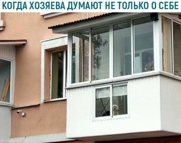 Анекдоты, соц-сети и картинки с надписями