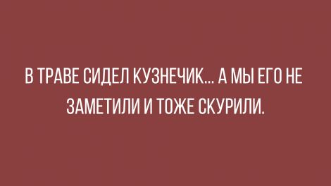 Анекдоты, соц-сети, истории и картинки с надписями