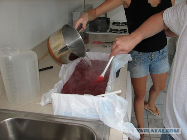 Розыгрыш с желе.