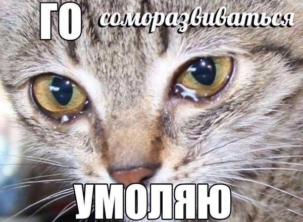 Нестандартный юмор