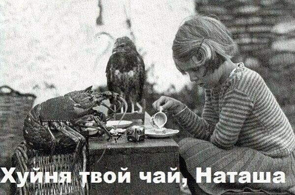 Здесь вам не рады