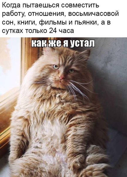 Немного картинок для настроения 24.10.19