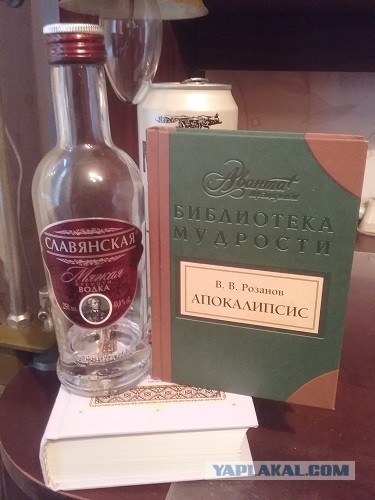 Эти "несчастные" брошенки