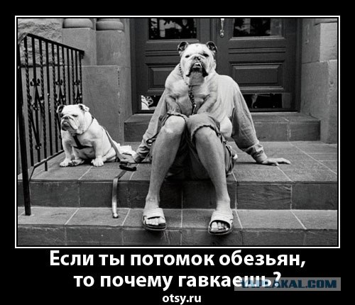 Россия и США:кто побеждает в информационной войне?