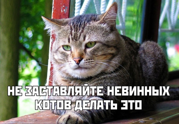 Смотреть!  Кому, ржать? Кому, плакать...