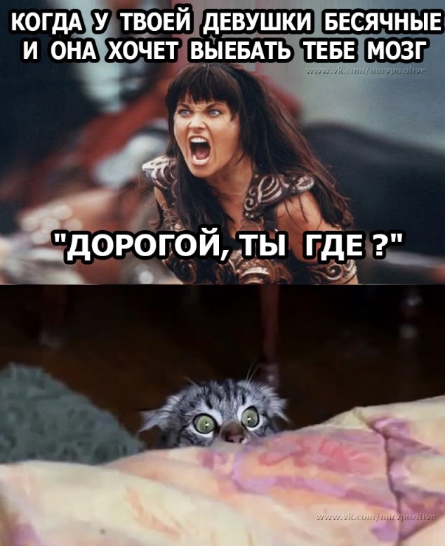 Бредзона 24.12.2019