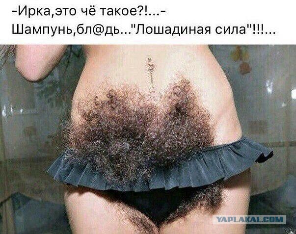 Бредзона 04.02.2020