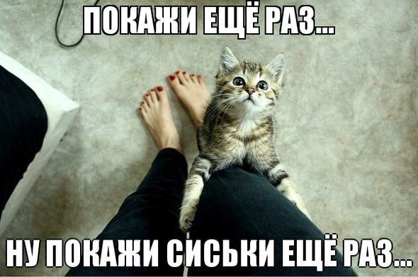 Немного картинок для настроения 10.04.20