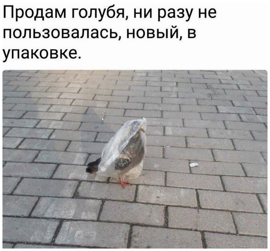 Не очень адекватный юмор