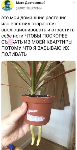 Достойно ли мужчине - просить разрешение купить себе пива?