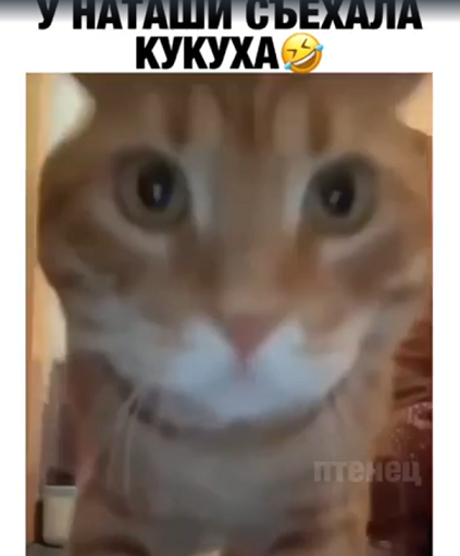 Наташа поломалась