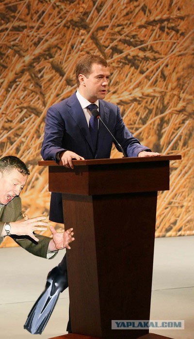 На трибуне