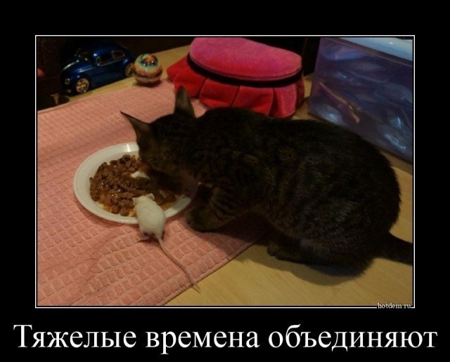 Картинки всякие
