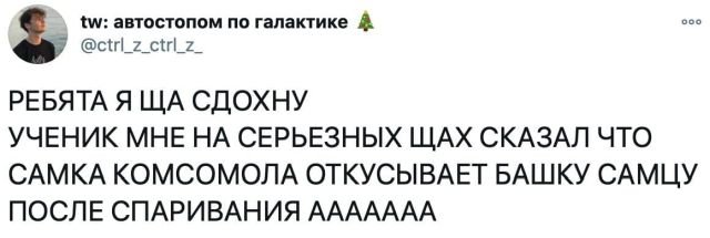 Картинки и мемы для настроения 027