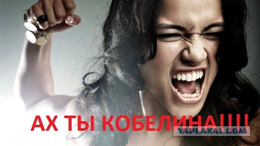 Цены в меню проститутошной