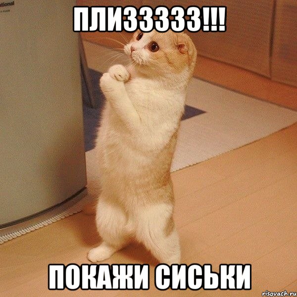 Хорошего всем Вам дня !