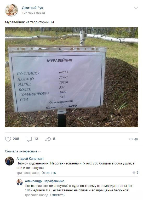 Весёлый полтишок 29.04