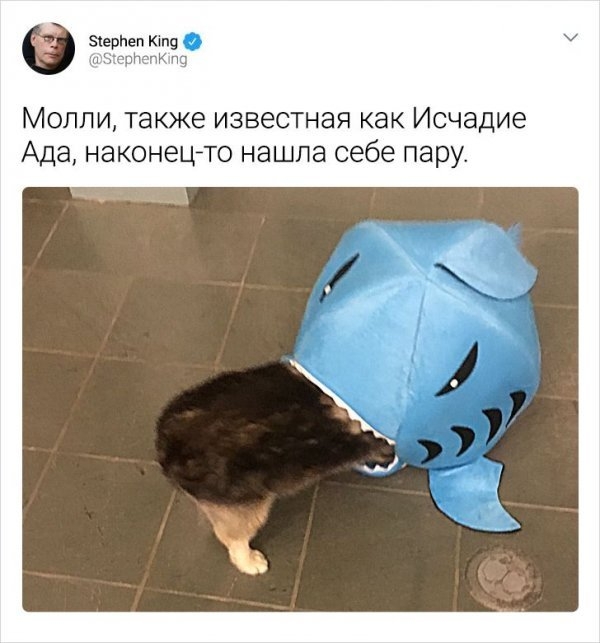 Картинки и мемы для настроения 006