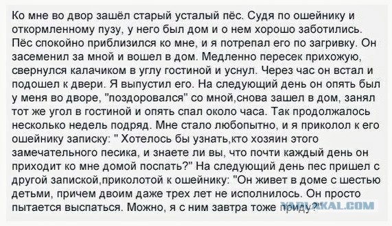 Баянисто-небаянистый юмор. 13.09.21